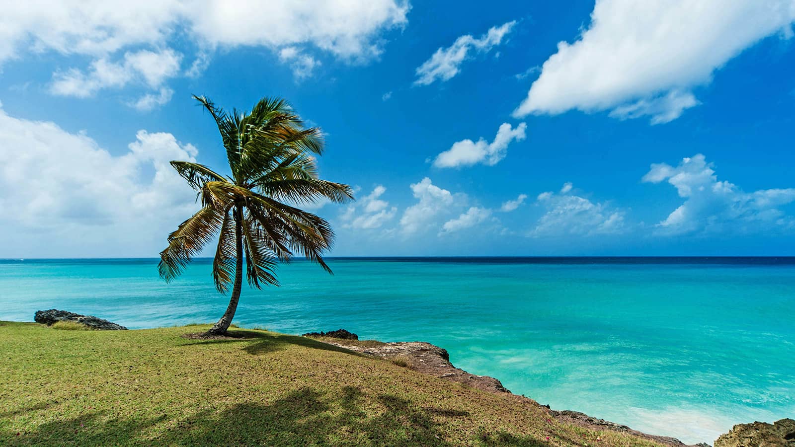 Exploring Barbados’ stunning beaches and vibrant culture